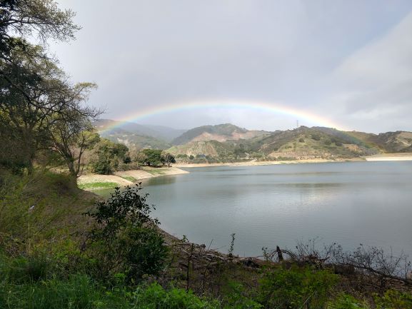 Stevens creek