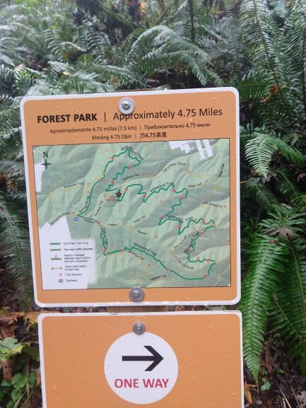 Forest Park