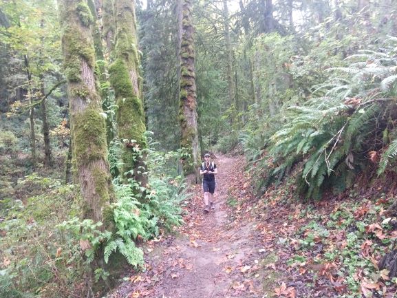 Forest Park2